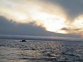 Bering Strait Crossing 218